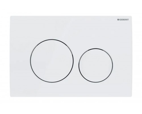 115.127.11.1 Смывная клавиша Geberit Delta20, двойной смыв: Альпийский белый 115.127.11.1