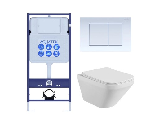 Set AQUATEK ЛИРА (рама AQUATEK Standard INS-0000012 с звукоиз.прокладкой+крепеж KKI-0000002+кнопкаKDI-0000009+унитаз ЛИРА AQ1155-00 с крышкой-сиденьем SET AQUATEK ЛИРА-009 4в1