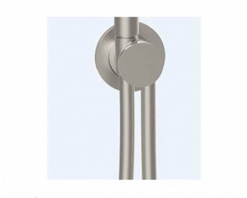 Шланговое подсоединение, Almar, Showers Accessories с держателем и шлангом, цвет-High Brass Brushed PVD