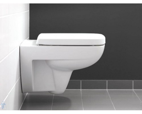 Сиденье для унитаза Geberit Renova Plan SoftClose, петли хром