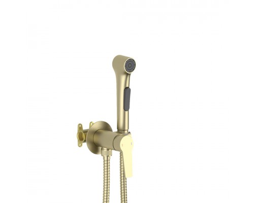 AQ1719BG ЛУГАНО комплект для гигиенического душа встроенный (смеситель + гигиеническая лейка + шланг), шлиф. золото AQ1719BG