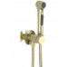 AQ1020BG ЕВРОПА комплект для гигиенического душа встроенный (смеситель + гигиеническая лейка + шланг), шлиф. золото AQ1020BG