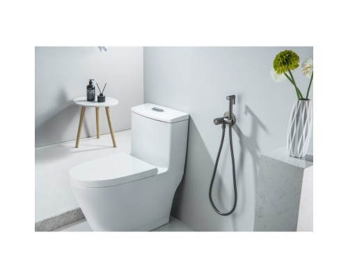 AQ1023BGM БЕТТА комплект для гигиенического душа Select встроенный (смеситель + гигиеническая лейка + шланг), оружейная сталь (шлиф. черный хром) AQ1023BGM