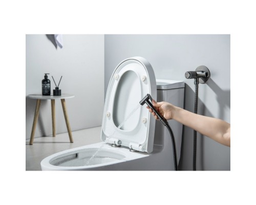 AQ1023BGM БЕТТА комплект для гигиенического душа Select встроенный (смеситель + гигиеническая лейка + шланг), оружейная сталь (шлиф. черный хром) AQ1023BGM