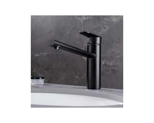 AQ1880MB НИКА смеситель для кухни, матовый черный AQ1880MB