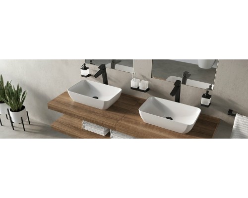 Держатель с двумя стаканами (стекло) TD 220.20 черный X07P558