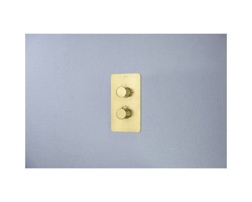 AQ1391BG ЕВРОПА термостатический смеситель для душа 1 режим (внешняя и скрытая часть), шлиф. золото AQ1391BG