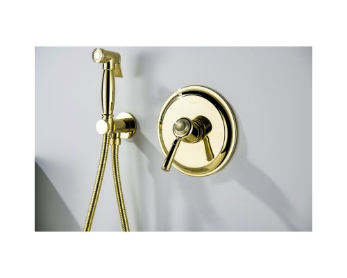 AQ1566PG КЛАССИК смеситель для душа 1 режим (внешняя и скрытая часть), полир. золото AQ1566PG