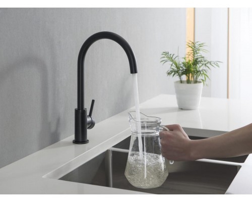 AQ1382MB ЕВРОПА смеситель для кухни, матовый черный AQ1382MB