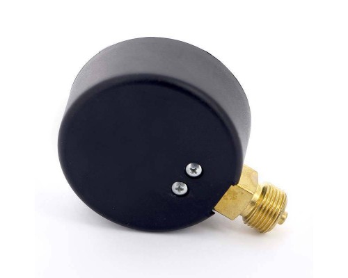 Манометр радиальный F+R201 WATTS Ind 3/8" 63 мм с указателем предела 4 бар