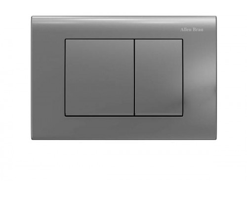 Allen Brau Клавиша смыва 24,5x1,1x16,5h см, цвет: серебро 9.20002.MG