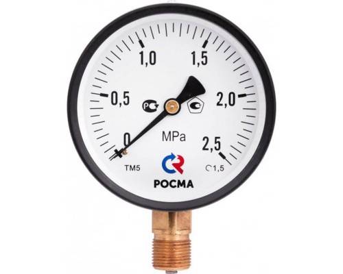 Манометр Росма ТМ-510 P.00 100/6 (M20х1,5, 0-6 бар, 1,5) радиальный
