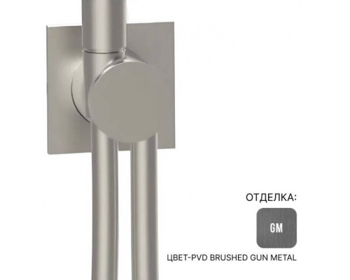 Шланговое подсоединение, Almar, Showers Accessories с держателем и шлангом, цвет-Brushed PVD Gun Metal