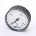 Манометр аксиальный F+R100 WATTS Ind 1/4" 63 мм 16 бар