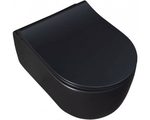 Allen Brau Priority Чаша для подвесного унитаза 36x49x33h см, цвет: черный 4.31002.31 Allen Brau Priority Чаша для подвесного унитаза 36x49x33h см, цвет: черный 4.31002.31