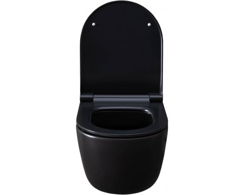 Allen Brau Priority Чаша для подвесного унитаза 36x49x33h см, цвет: черный 4.31002.31 Allen Brau Priority Чаша для подвесного унитаза 36x49x33h см, цвет: черный 4.31002.31