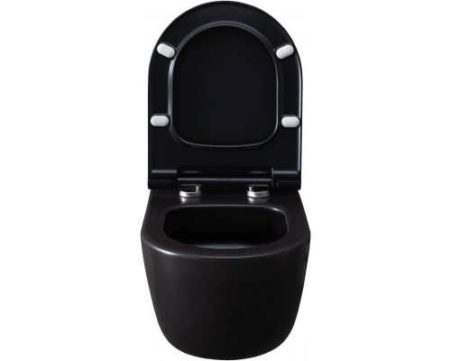 Allen Brau Priority Чаша для подвесного унитаза 36x49x33h см, цвет: черный 4.31002.31 Allen Brau Priority Чаша для подвесного унитаза 36x49x33h см, цвет: черный 4.31002.31