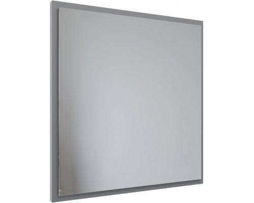 Allen Brau Activity Зеркало подвесное прямоугольное с подсветкой 70x75 см, цвет: платина 1.340026.PGM