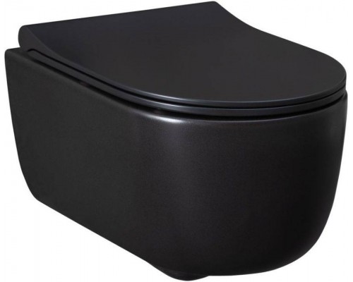 Allen Brau Priority Чаша для подвесного унитаза 36x49x33h см, цвет: черный 4.31002.31 Allen Brau Priority Чаша для подвесного унитаза 36x49x33h см, цвет: черный 4.31002.31
