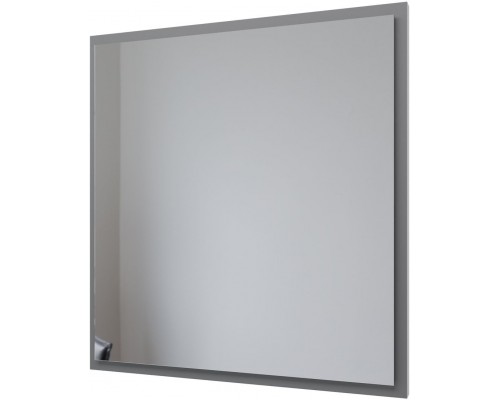 Allen Brau Activity Зеркало подвесное прямоугольное с подсветкой 70x75 см, цвет: платина 1.340026.PGM