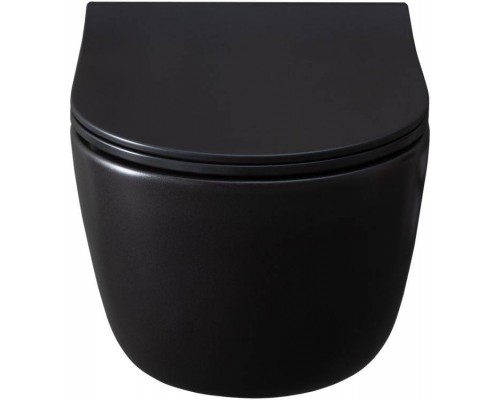 Allen Brau Priority Чаша для подвесного унитаза 36x49x33h см, цвет: черный 4.31002.31 Allen Brau Priority Чаша для подвесного унитаза 36x49x33h см, цвет: черный 4.31002.31