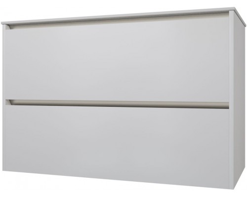 Allen Brau Activity Тумба под раковину 100x46x66,2 см, цвет: белый/олива 1.34014.WM