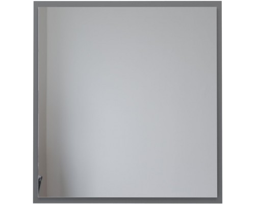 Allen Brau Activity Зеркало подвесное прямоугольное с подсветкой 70x75 см, цвет: платина 1.340026.PGM