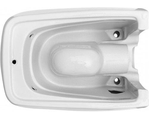 Allen Brau Liberty Унитаз подвесной 37x45x41,5h см, цвет: белый 4.33009.20
