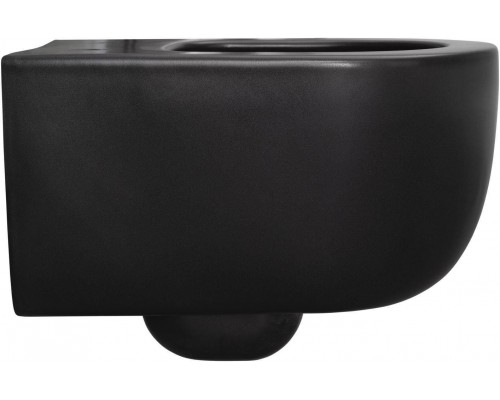 Allen Brau Priority Чаша для подвесного унитаза 36x49x33h см, цвет: черный 4.31002.31 Allen Brau Priority Чаша для подвесного унитаза 36x49x33h см, цвет: черный 4.31002.31