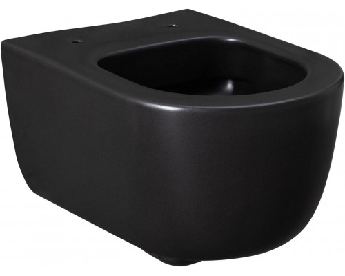 Allen Brau Priority Чаша для подвесного унитаза 36x49x33h см, цвет: черный 4.31002.31 Allen Brau Priority Чаша для подвесного унитаза 36x49x33h см, цвет: черный 4.31002.31