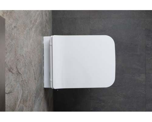Allen Brau Liberty Унитаз подвесной 37x45x41,5h см, цвет: белый 4.33009.20