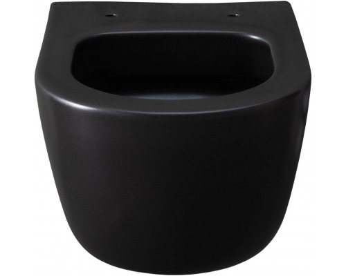 Allen Brau Priority Чаша для подвесного унитаза 36x49x33h см, цвет: черный 4.31002.31 Allen Brau Priority Чаша для подвесного унитаза 36x49x33h см, цвет: черный 4.31002.31