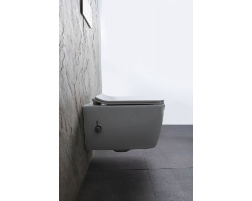 Allen Brau Liberty Унитаз подвесной 37x45x41,5h см, цвет: белый 4.33009.20