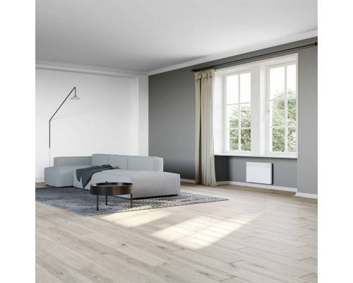 Конвектор электрический STIEBEL ELTRON CNS 250 TREND M Конвектор электрический STIEBEL ELTRON CNS 250 TREND M