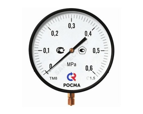 Манометр рад ТМ-810Р.00 0-2,5МПаДк250 М20х1,5 ст Росма 00000009033