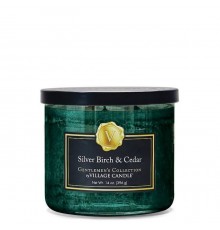 Декоративная свеча Village Candle Серебристая береза и кедр (396 грамм)