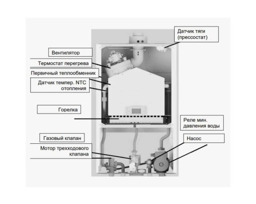 Котел настенный Baxi ECO Life 1.24F 24 кВт одноконтурный закрытый