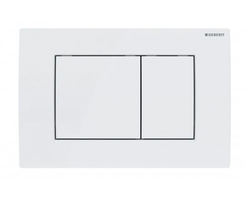 115.137.11.1 Смывная клавиша Geberit Delta30, для двойного смыва: Альпийский белый 115.137.11.1