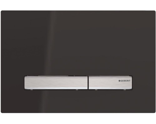 115.788.DW.2 Смывная клавиша Geberit Sigma50 для двойного смыва к 111.300/350/361/362/380/390/796 черный глянцевый/металлический хромированный 115.788.DW.2
