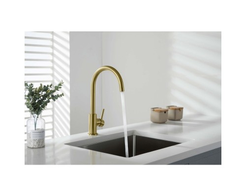 AQ1382BG ЕВРОПА смеситель для кухни, шлиф. золото AQ1382BG