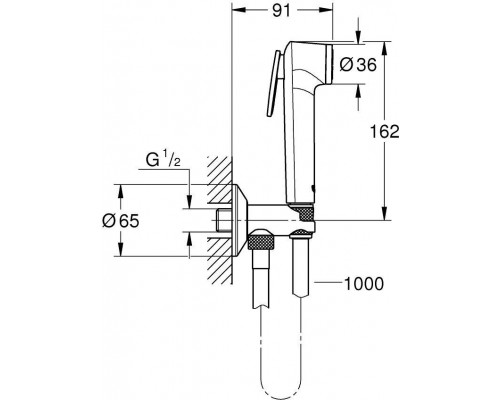 26358000 Tempesta-F Trigger Spray 30 Набор для гигиенического душа I (гигиенический душ, нажимной запорный вентиль, шланг 1000 мм), хром 26358000