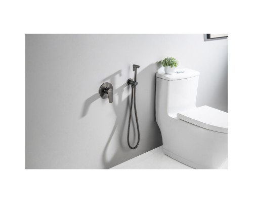 AQ1119BGM БЕТТА набор с гигиеническим душем (смеситель + гигиеническая лейка + шланг + шланговое подсоединение с держателем), оружейная сталь (шлиф. ч AQ1119BGM