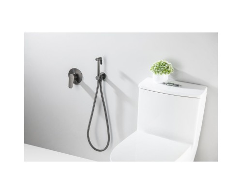 AQ1119BGM БЕТТА набор с гигиеническим душем (смеситель + гигиеническая лейка + шланг + шланговое подсоединение с держателем), оружейная сталь (шлиф. ч AQ1119BGM