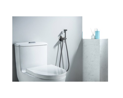 AQ1021BGM ЕВРОПА комплект для гигиенического душа встроенный (смеситель + гигиеническая лейка + шланг), оружейная сталь (шлиф. черный хром) AQ1021BGM