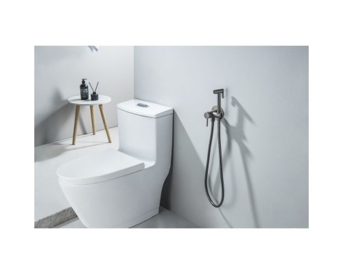 AQ1021BGM ЕВРОПА комплект для гигиенического душа встроенный (смеситель + гигиеническая лейка + шланг), оружейная сталь (шлиф. черный хром) AQ1021BGM