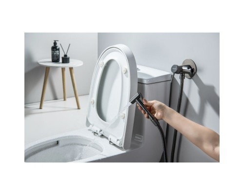 AQ1021BGM ЕВРОПА комплект для гигиенического душа встроенный (смеситель + гигиеническая лейка + шланг), оружейная сталь (шлиф. черный хром) AQ1021BGM