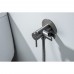 AQ1021BGM ЕВРОПА комплект для гигиенического душа встроенный (смеситель + гигиеническая лейка + шланг), оружейная сталь (шлиф. черный хром) AQ1021BGM