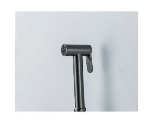 AQ1021BGM ЕВРОПА комплект для гигиенического душа встроенный (смеситель + гигиеническая лейка + шланг), оружейная сталь (шлиф. черный хром) AQ1021BGM