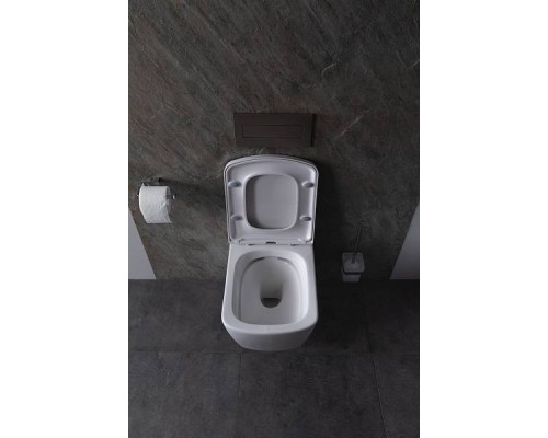 Allen Brau Liberty Унитаз подвесной, крышка-сиденье в комплекте, цвет: белый 4.32003.20