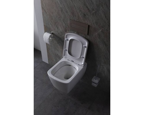 Allen Brau Liberty Унитаз подвесной, крышка-сиденье в комплекте, цвет: белый 4.32003.20